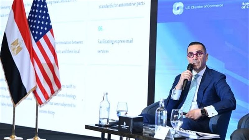 وزير الاستثمار