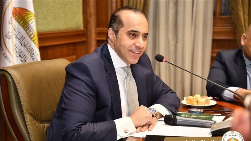 المستشار محمود فوزي،