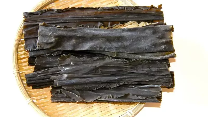 الكومبو وصحة الأمعاء