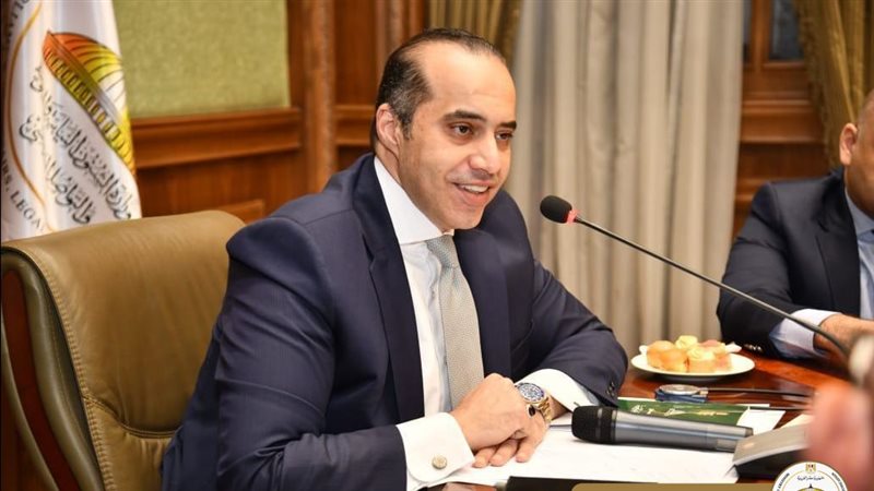 المستشار محمود فوزي
