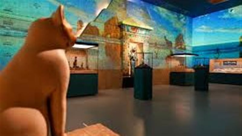 جانب من المعرض 