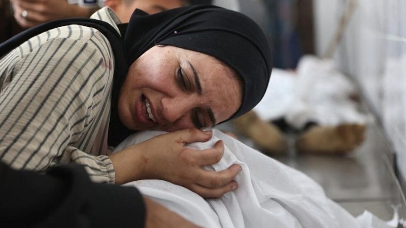 الطبيبة الفلسطينية