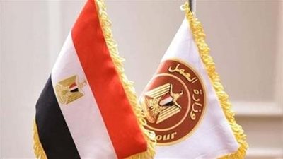 «تدريب توعية تسوية».. نرصد نشاط وزارة العمل في 5 مديريات بالمحافظات المختلفة