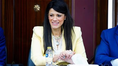 التخطيط: قانون ملكية الدولة يؤكد عزم الدولة على إفساح المجال للقطاع الخاص