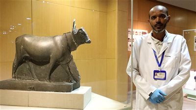 «أنامل تصنع الخلود»... مرمم مصري يصنع المعجزات بإعادة القطع الأثرية لأصلها 