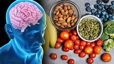 تعرف غذاء العقل: كيف يؤثر طعامك على ذاكرتك وتركيزك