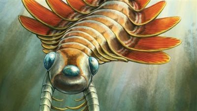 اكتشاف مفترس بحري بثلاث عيون من العصر الكامبري يدهش علماء الحفريات