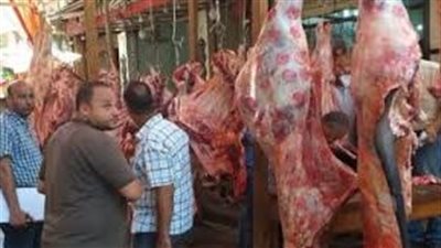 الحبس والغرامة 10آلاف جنيه عقوبة ذبح الأضاحي خارج المجازر بمحافظة القاهرة 