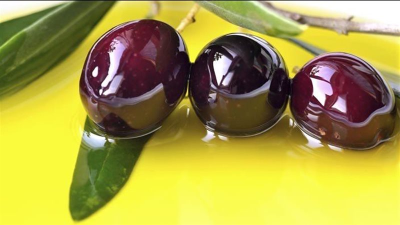 زيت الزيتون