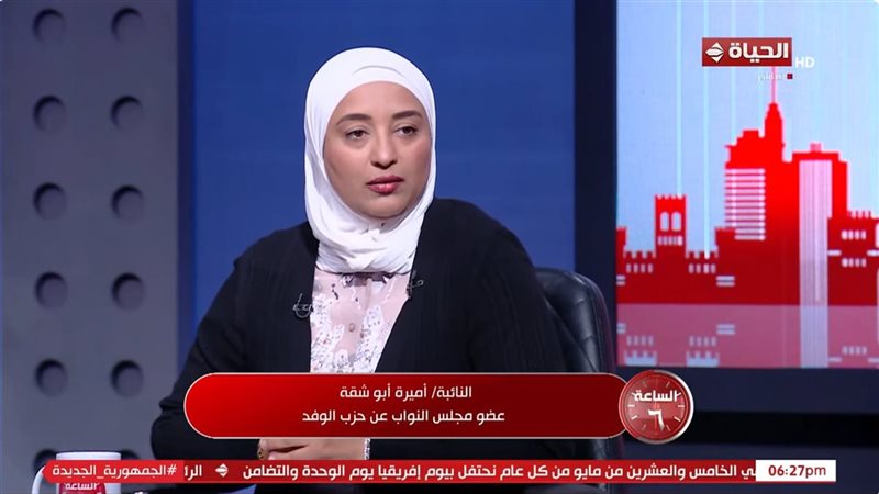 النائبة أميرة أبو