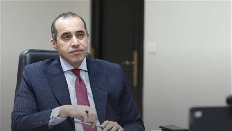 المستشار محمود فوزي