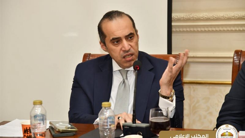 المستشار محمود فوزي