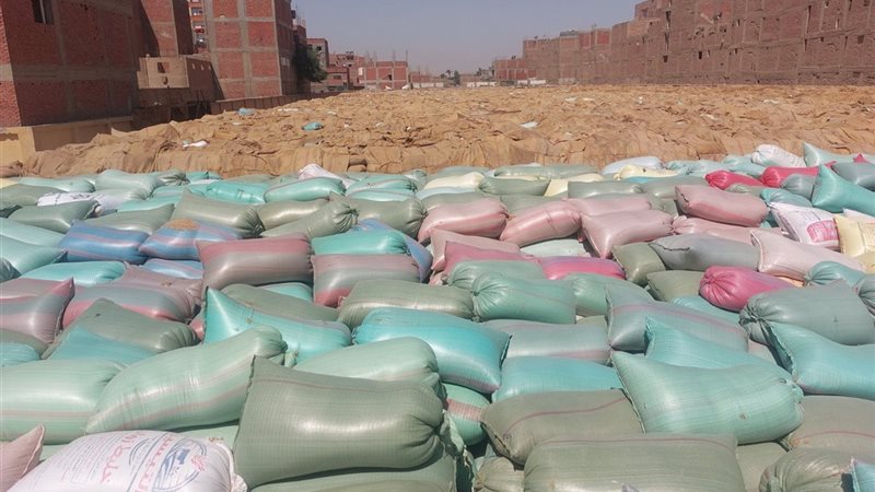 توريد محصول القمح