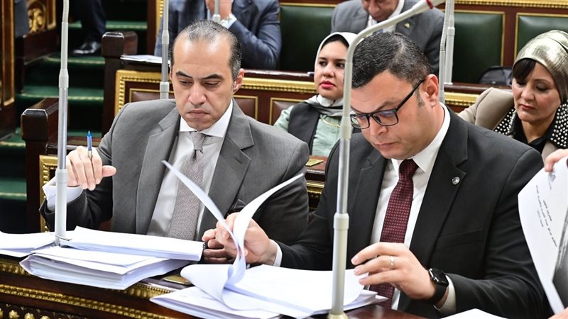 المستشار محمود فوزي