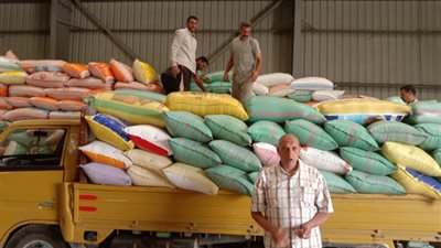 البحيرة: توريد أكثر من 267 ألف طن قمح بشون وصوامع المحافظة