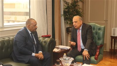 محمود عصمت: قطاع الكهرباء لديه تجارب ناجحة في تنفيذ الخطط الإسعافية العاجلة