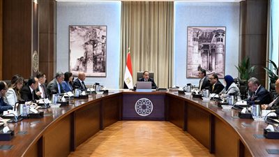  أيمن العشري: حريصون على دعم جهود الدولة لدعم قطاع الحديد والصلب