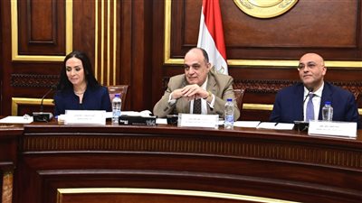 وزيرة التضامن : برنامج تكافل وكرامة خدم 7.7 مليون أسرة