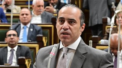  المستشار محمود فوزي: الحكومة لا تريد المساس بالدستور والرئيس لن يسمح بذلك 