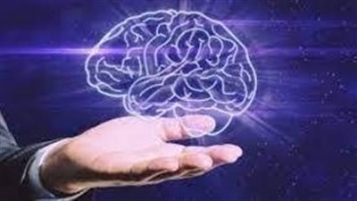 أفضل الأطعمة لتحفيز الدماغ وتقوية الذاكرة وفق دراسة علمية جديدة