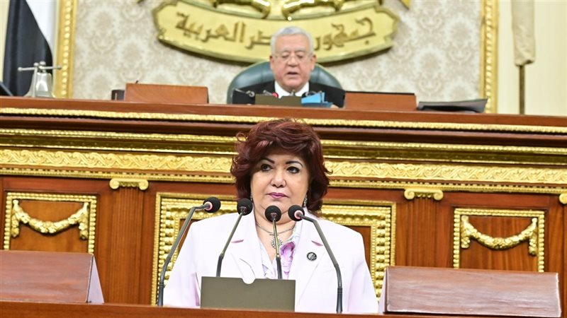 النائبة نورا علي