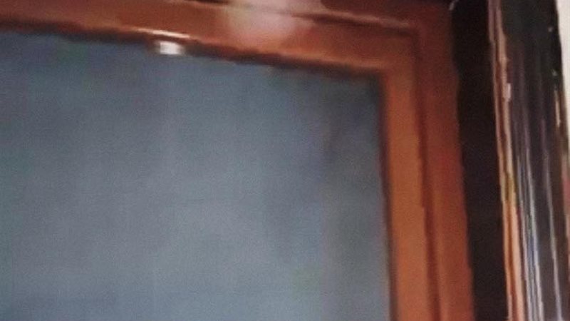 غلق عيادة بيطرية