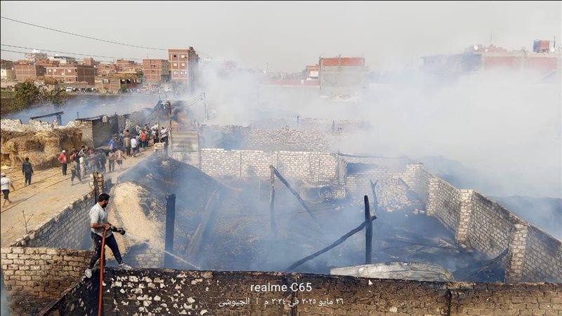 حريق الدقهلية