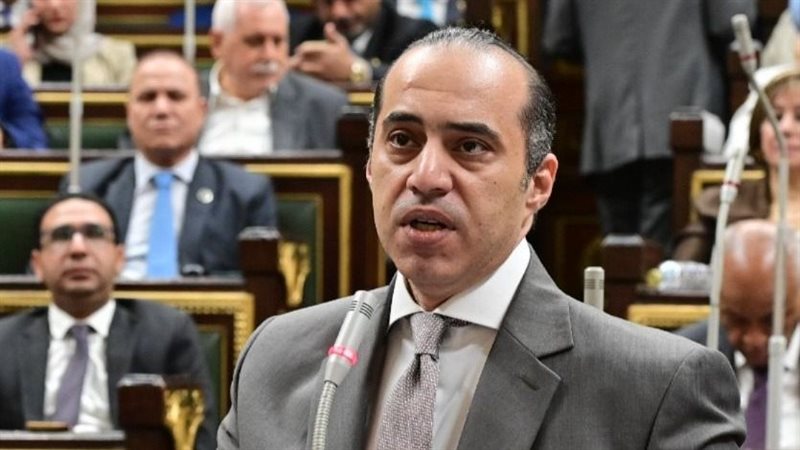 المستشار محمود فوزي