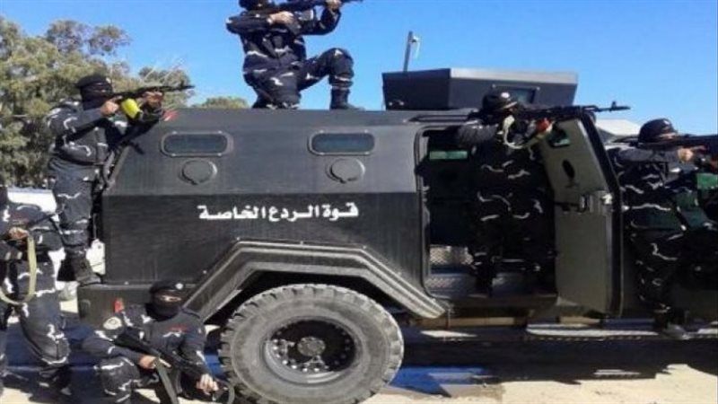 عناصر جهاز الردع