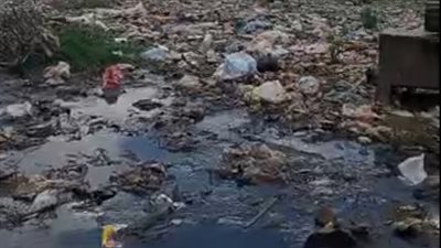 القمامة تحاصر أنطونيادس بالبحيرة.. الأهالي: بنشرب مجاري والتعابين بتهاجمنا