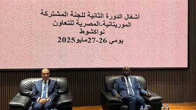 وزير الخارجية يترأس الجانب المصري في أعمال اللجنة المشتركة المصرية الموريتانية