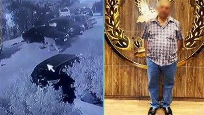 ضربه بعصا .. «الأمن» يكشف تفاصيل تعدي شخص على كلب بالنزهة