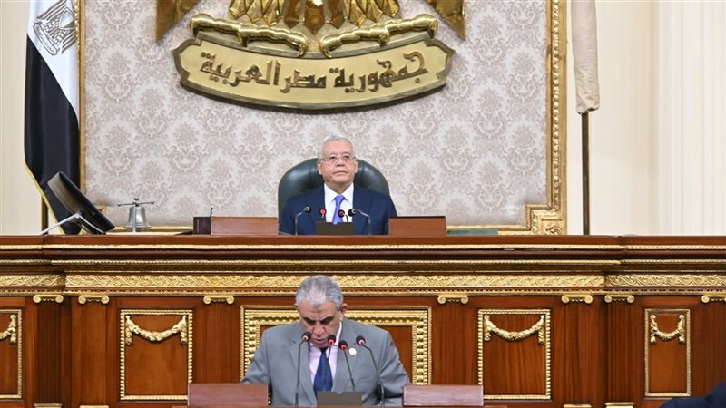 جانب من الجلسة