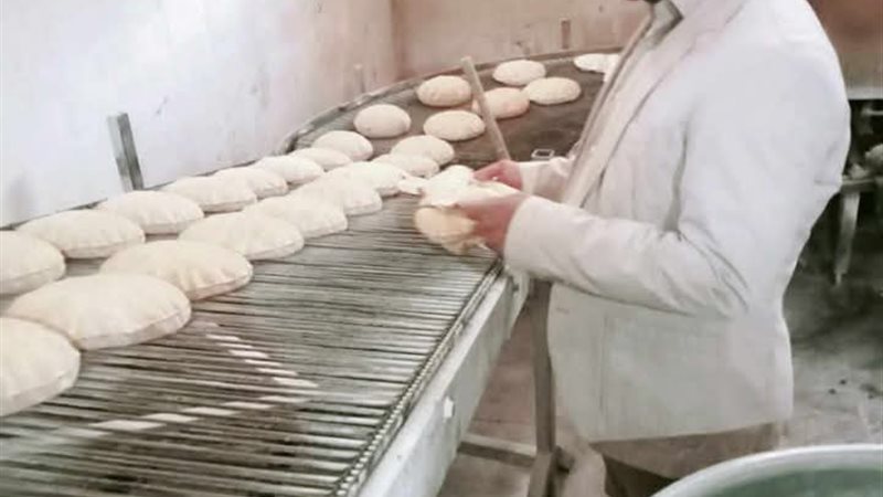 وكيل وزارة التموين