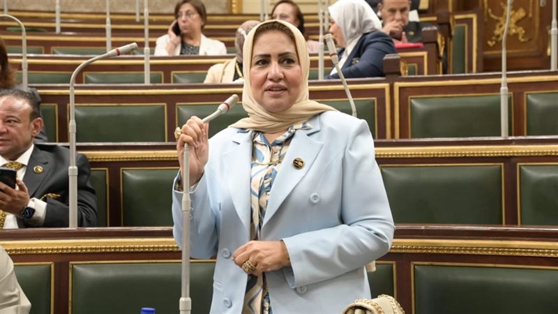 النائبة سحر صدقى،