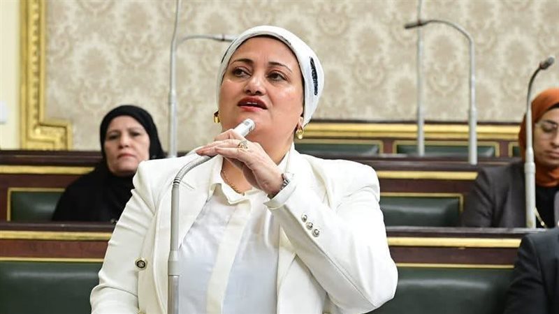 النائبة سناء السعيد،