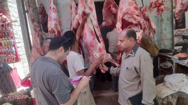 محافظة المنيا
