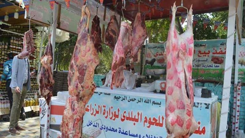 الأضاحي