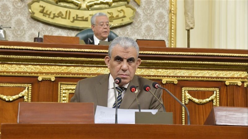 النائب عادل عبد الفضيل