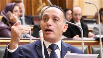 النائب فريدي البياضي: التظاهر ضد مصر تزييف للحقائق وخدمة مجانية للاحتلال