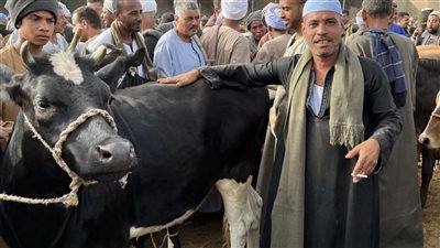 العجل بـ 100ألف والخروف بـ 8.. أسعار الأضاحي بسوق فرشوط بقنا |صور