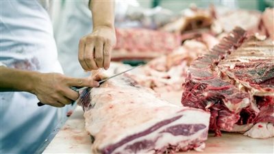 لحوم ملوثة وحشرات وروائح كريهة.. أضرار الذبح العشوائي | فيديو