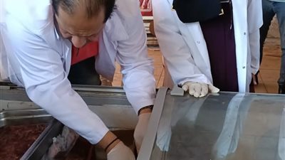 بيطري بورسعيد يشن حملات على منافذ بيع اللحوم والدواجن قبل عيد الأضحى 