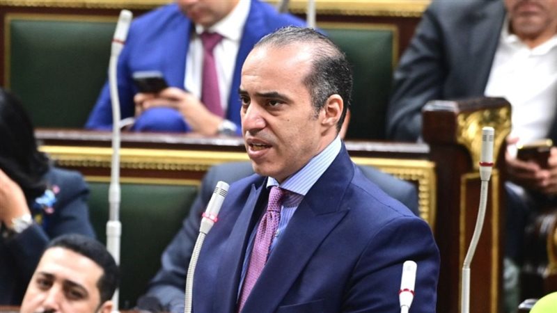 المستشار محمد فوزى