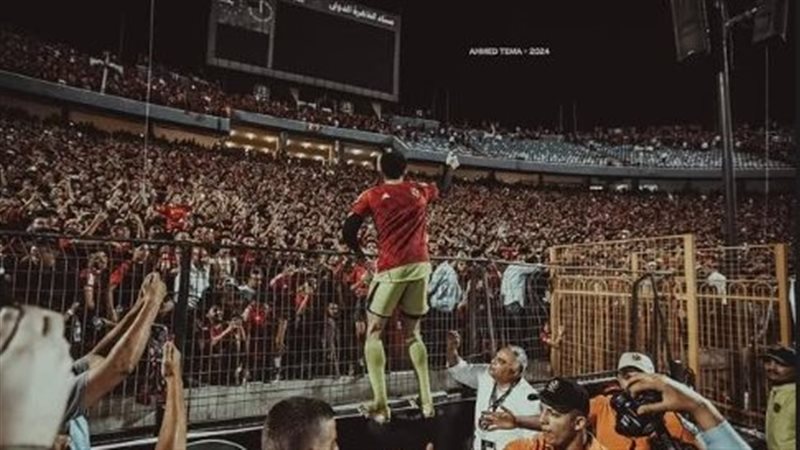 مصطفي شوبير