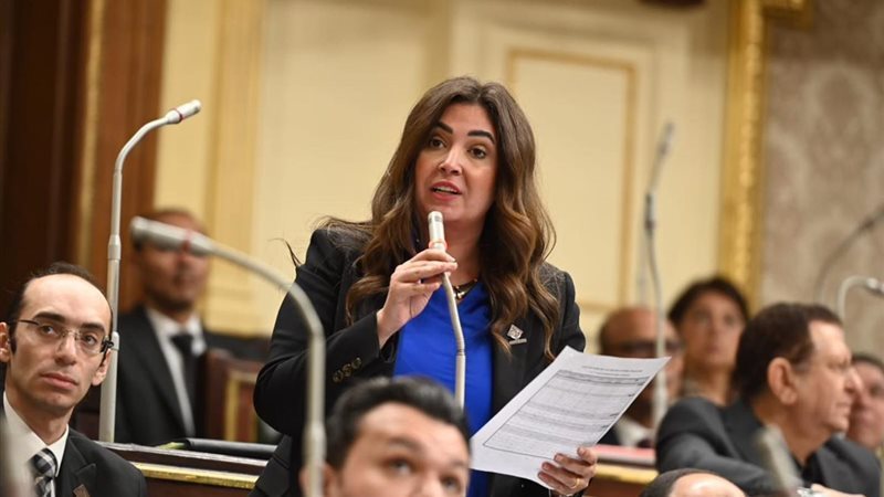 النائبة أميرة العادلي