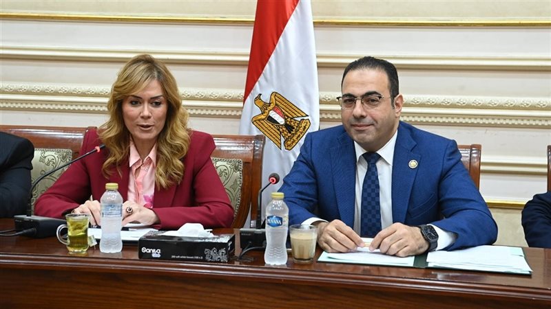 الدكتور محمود حسين،