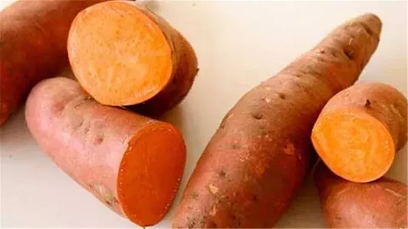 البطاطا الحلوة