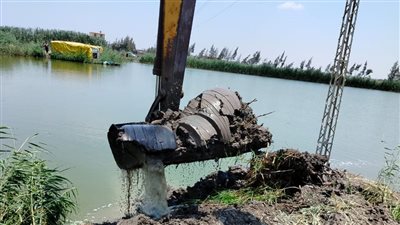 إزالة تعديات على مساحة 3640 مترًا بمزرعة سمكية في بورسعيد