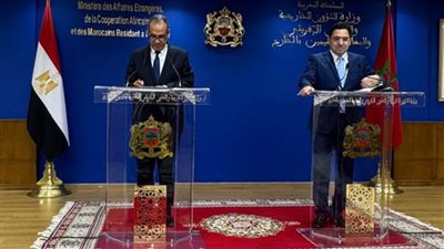وزير الخارجية يسلم لنظيره المغربي رسالة خطية من الرئيس السيسي